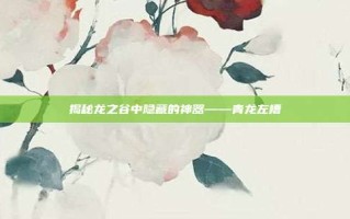 揭秘龙之谷中隐藏的神器——青龙左槽