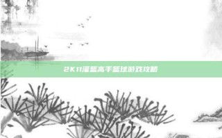 2K11灌篮高手篮球游戏攻略