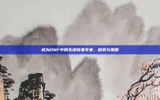 成为DNF中的毛皮收集专家，探索与策略