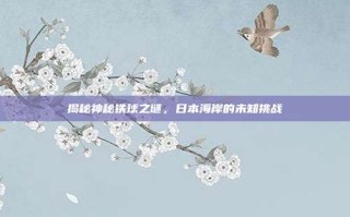 揭秘神秘铁球之谜，日本海岸的未知挑战