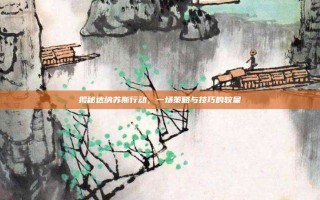 揭秘达纳苏斯行动，一场策略与技巧的较量