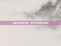 热血无赖嘟嘟攻略，游戏中的热血与智谋