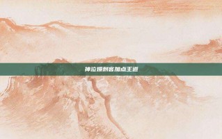 神泣爆刺客加点王道