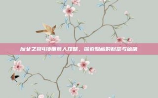 魔女之泉4项链商人攻略，探索隐藏的财富与秘密