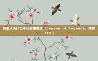 美国人为什么不玩英雄联盟（League of Legends，简称LOL）