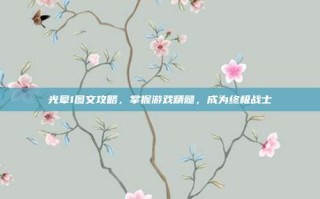 光晕1图文攻略，掌握游戏精髓，成为终极战士