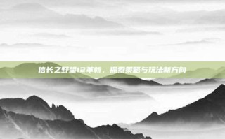 信长之野望12革新，探索策略与玩法新方向