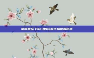 掌握极品飞车13的终极手柄设置秘籍