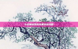 斗战神冰罗刹装备选择攻略