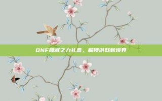 DNF巅峰之力礼盒，解锁游戏新境界