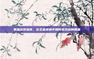 黄盖出装指南，在王者荣耀中如何高效利用黄盖