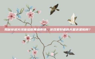 揭秘穿越火线体验版黄鱼市场，游戏爱好者的天堂还是陷阱？