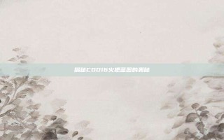 探秘COD16火把蓝图的奥秘
