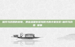 暗月马戏团的宠物，那些温暖你冒险时光的小家伙们-暗月马戏团 宠物