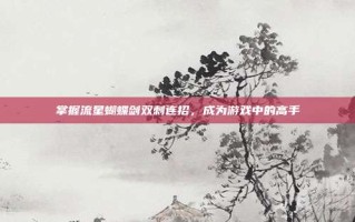 掌握流星蝴蝶剑双刺连招，成为游戏中的高手