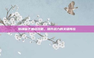 斩魂仙子加点攻略，提升战力的关键所在