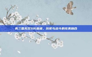 真三国无双5长坂坡，历史与战斗的完美融合