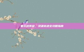 塞尔达传说，灵魂轨迹全攻略指南