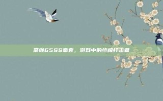 掌握65SS拳套，游戏中的终极打击者