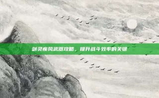 剑灵疾风武器攻略，提升战斗效率的关键