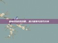 越南QQ游戏攻略，深入探索与技巧分享
