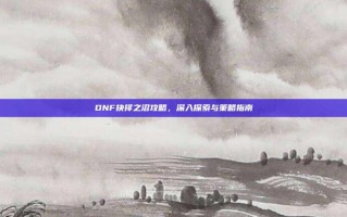 DNF抉择之沼攻略，深入探索与策略指南