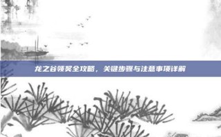 龙之谷领奖全攻略，关键步骤与注意事项详解