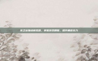 龙之谷加点模拟器，掌握游戏精髓，提升角色实力