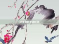 战士解说零点行动