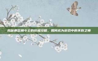 揭秘暴怒角斗士的终极攻略，如何成为游戏中的不败之师