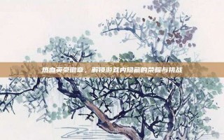 热血英豪徽章，解锁游戏内隐藏的荣耀与挑战