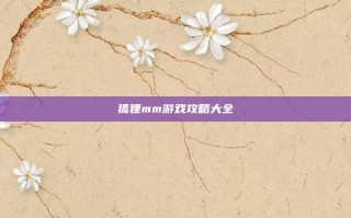 狐狸mm游戏攻略大全