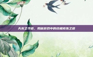 天龙之寻道，揭秘游戏中的终极修炼之道
