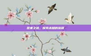 昆莱之路，探索未知的旅程