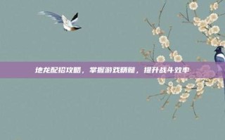 地龙配招攻略，掌握游戏精髓，提升战斗效率