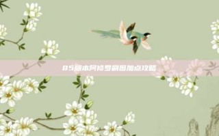 85版本阿修罗刷图加点攻略
