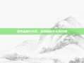 变形金刚2存档，深度解析与实用攻略