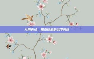 九阴真经，探索隐藏的武学奥秘