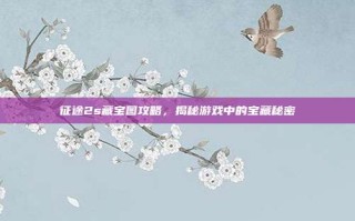 征途2s藏宝图攻略，揭秘游戏中的宝藏秘密