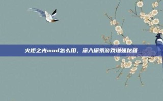 火炬之光mod怎么用，深入探索游戏增强秘籍