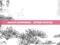 解锁封印之剑的终极秘密，官网指南与游戏攻略