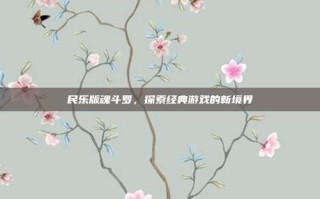 民乐版魂斗罗，探索经典游戏的新境界