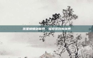 流星蝴蝶剑联网，探索游戏新境界