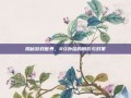 揭秘游戏世界，RO外挂的阴影与对策