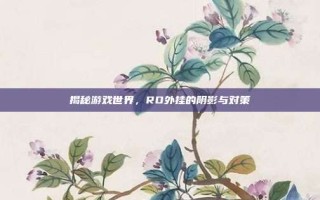 揭秘游戏世界，RO外挂的阴影与对策