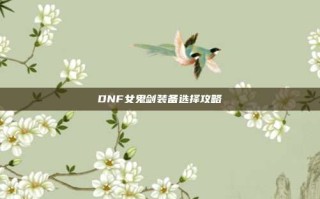DNF女鬼剑装备选择攻略