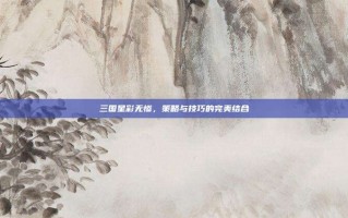三国星彩无惨，策略与技巧的完美结合