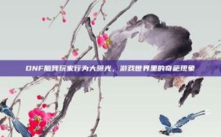 DNF脑残玩家行为大曝光，游戏世界里的奇葩现象