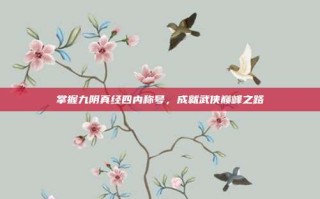 掌握九阴真经四内称号，成就武侠巅峰之路
