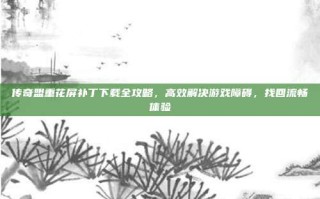 传奇盟重花屏补丁下载全攻略，高效解决游戏障碍，找回流畅体验
